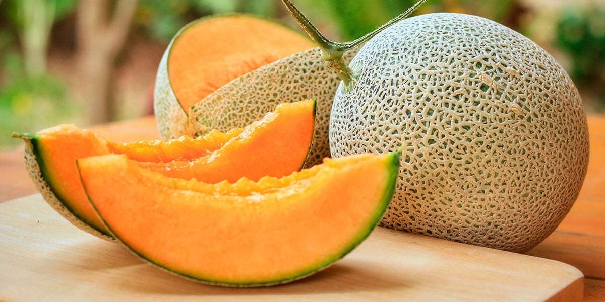 Una fruta ideal para el verano, el melón. Fuente: (Instagram)