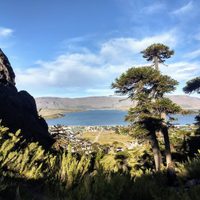 Soleado y sin alertas: cómo estará el clima en Neuquén este jueves