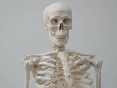 El hueso humano inspira un cemento cinco veces más resistente