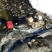 Hallan a cuatro ejecutados en menos de dos horas en Jalisco