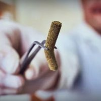 ¿Puede combatir al coronavirus? ¡Hallazgo revolucionario en Chubut!