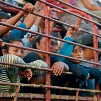 Aceptar a los migrantes y darles un marco jurídico, propone la embajadora Bárcena