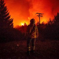 Ante la ola de incendios forestales, César Gass pidió que se declare la Emergencia Nacional Ígnea en la Patagonia