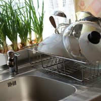 El secreto de la abuela para eliminar las manchas de tus platos y dejarlos radiantes