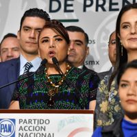 Morena, “200% servilismo”: diputada Adela Ramos