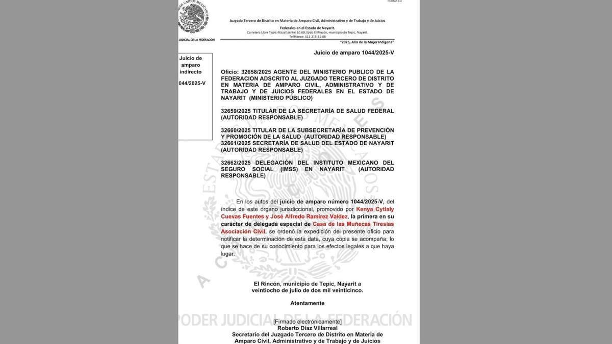 Admisión del amparo