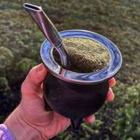 La hierba que tenés que ponerle al mate después de un fin de semana de excesos: así podés cultivarla en casa