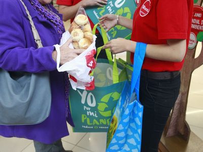 Si tenés bolsas de mercado rotas, no las tires: mirá cómo crear esto tan hermoso para consentir a tu mascota