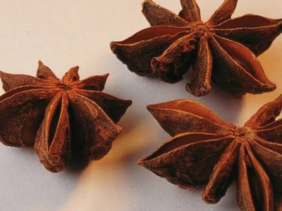 Anís, la especia con propiedades medicinales: los beneficios que la ciencia confirma y cómo esta infusión puede transformar tu bienestar