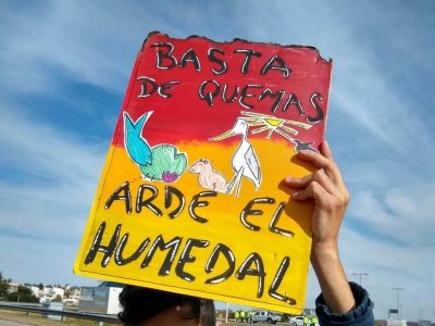 El Delta del Paraná, convertido en un cementerio de animales por los incendios