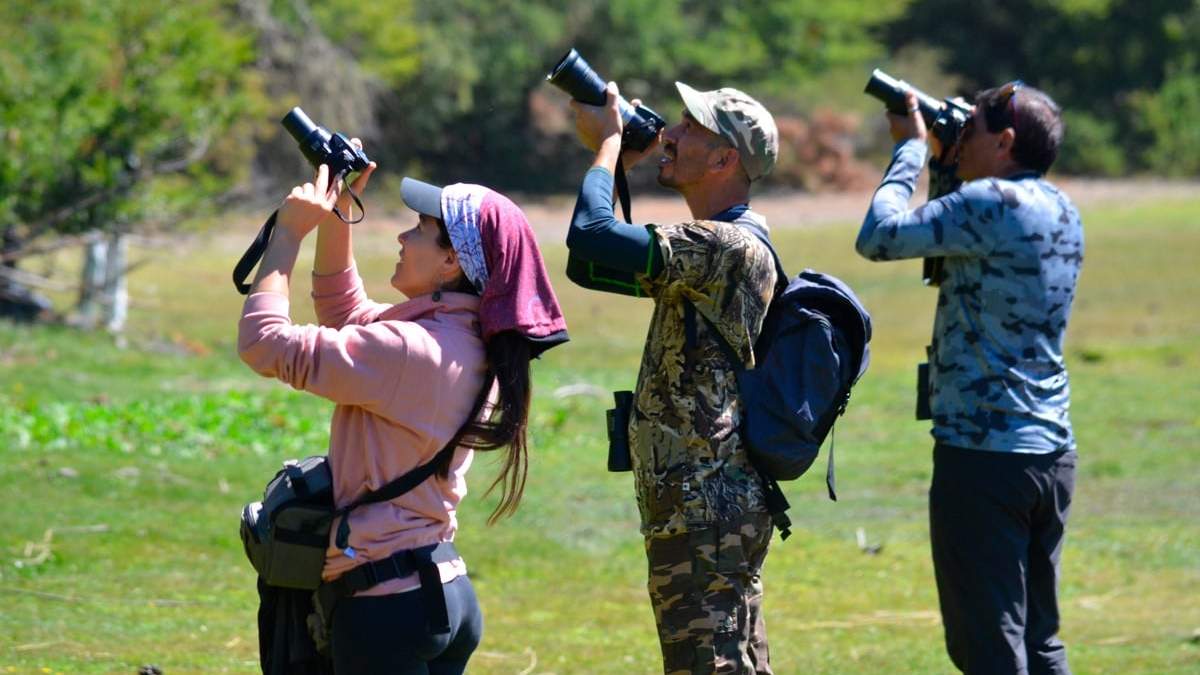 Observación de aves, una propuesta educativa. Fuente: (Instagram)