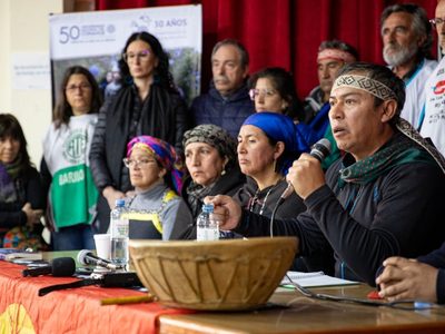 Comunidades mapuches denunciaron “cacería humana con armas letales” en Villa Mascardi