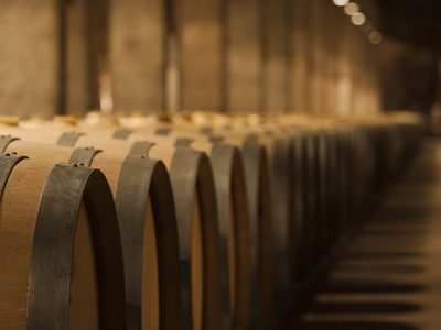 Presentaron proyecto de ley en Mendoza para crear Banco de Vinos