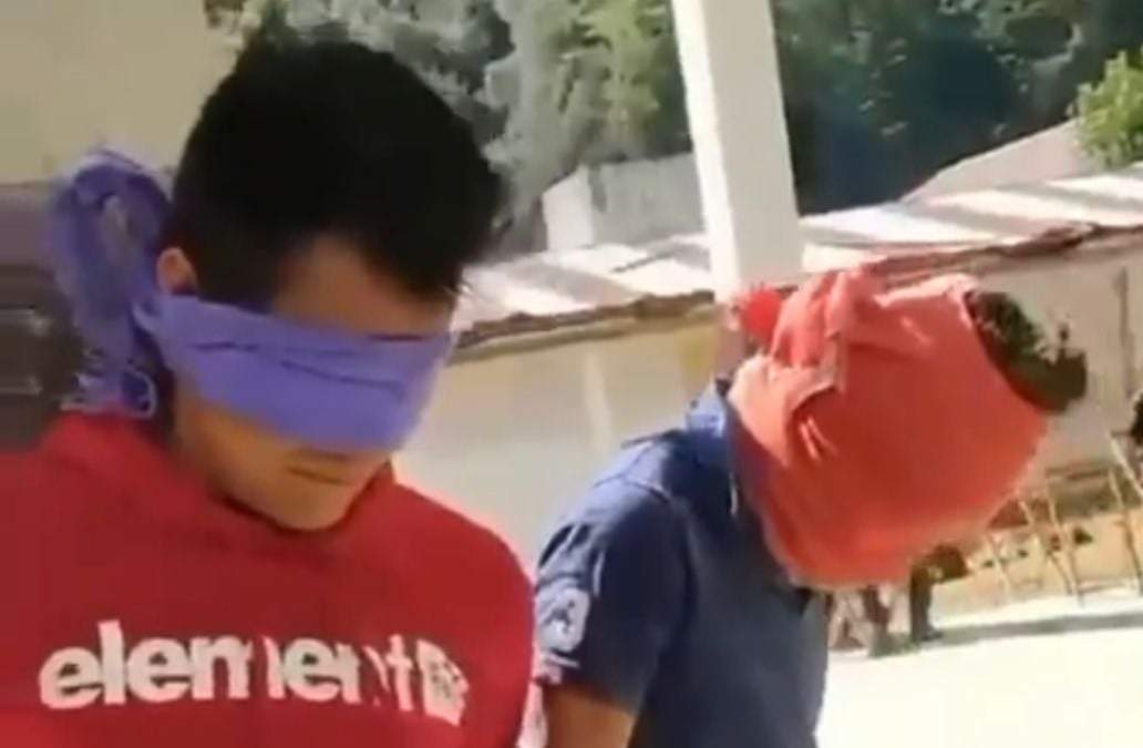 Los jóvenes plagiados