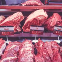 Carnes a precios rebajados: cuándo empieza la oferta y dónde se pueden comprar los cortes populares