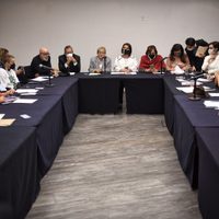 Prevén comparecencia de Álvarez-Buylla en el Senado tras reunión con alumnos