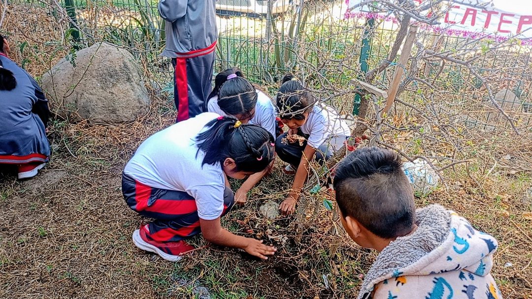 Niñas y niños estudiantes de la primaria Samir Flores Soberanes sembraron frijoles de manera simbólica en el jardín de la casa del luchador social.