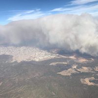Jalisco combate incendio en el Bosque La Primavera; prevén abatirlo hoy si clima lo permite