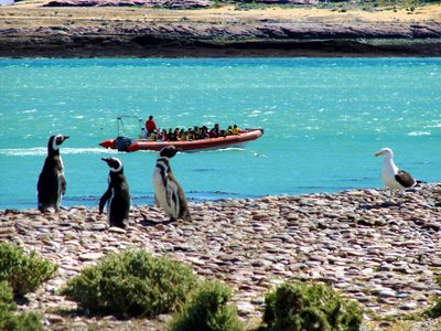 Puerto Deseado: un destino turístico para disfrutar este verano