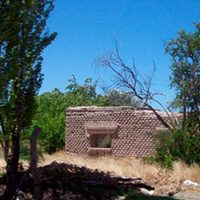 En 10 años cayó 55% la cantidad de productores agrícolas en Mendoza