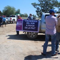 En caravana, ganaderos y autodefensas rechazan cobro de piso en Veracruz