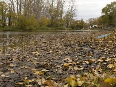 Advierten que si no se draga el río Limay "no va a existir más Gatica ni la Isla 132”