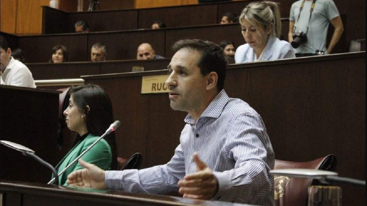 El diputado del MPN, Claudio Domínguez. Fuente: (x)