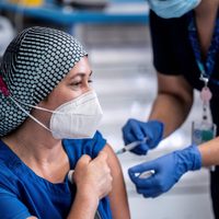 Neuquén: se anunció la llegada de 33 mil vacunas