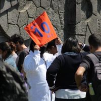 Padecen por el sol, las abejas y el hambre en el simulacro por el 19S en la UNAM (Video)