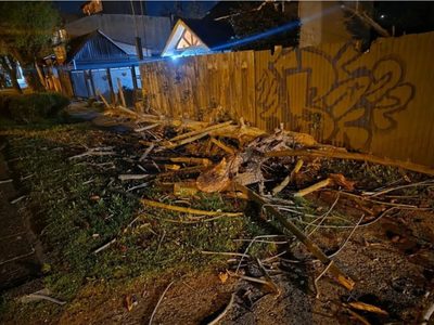 Un fuerte temporal de viento azotó a San Martín de los Andes y provocó caída de árboles y voladura de techos