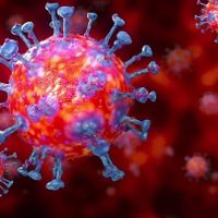 Así está el panorama en Neuquén: se estudian 13 nuevos casos sospechosos de coronavirus