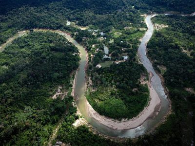 Sequía, incendios y deforestación azotaron la selva amazónica en 2024