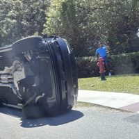 Tiger Woods fue puesto en libertad bajo fianza tras estar involucrado en accidente automovilístico