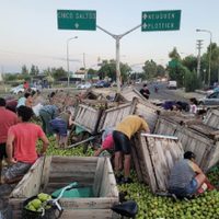 Un camión con peras volcó en la Ruta 7 y los vecinos se agolparon para juntar bolsas