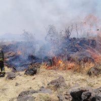 Los incendios forestales de 2021 generaron mil 760 megatoneladas de emisiones de carbono