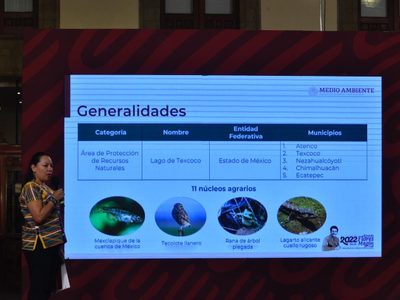 "Sepultan" formalmente al NAIM: el Lago de Texcoco ya es área natural protegida