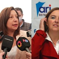 Conflicto mapuche: el INAI respondió a las criticas de la gobernadora Arabela Carreras