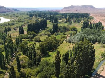 Cuántas y cuáles son: las localidades de Neuquén que están libres de coronavirus