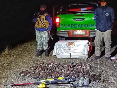 Incautaron truchas, codornices y leña en rutas de Neuquén