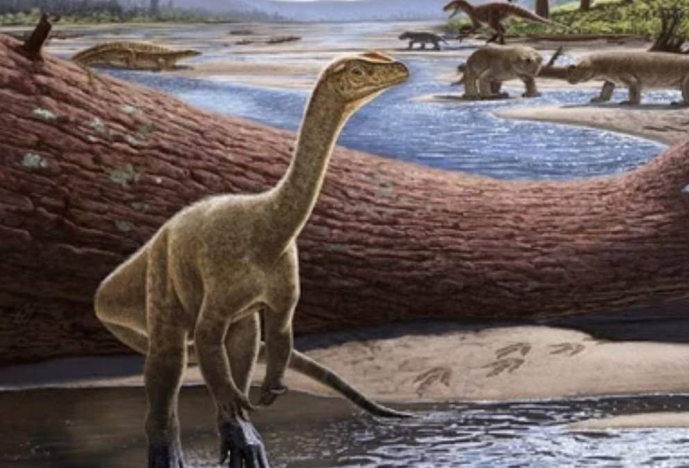 Dinosaurios