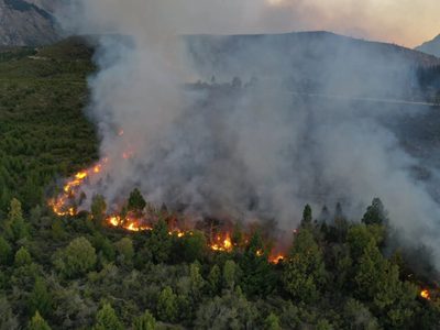 Solicitaron conocer el plan de acción para combatir incendios en Neuquén