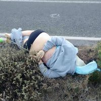 Hallan muerta en Puebla a la reportera secuestrada en Veracruz
