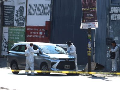 México vive día con 31 homicidios, la cifra más baja del sexenio de Sheinbaum
