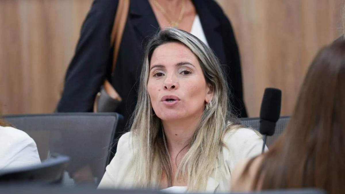 Mondaca afirmó que la medida no afectará a usuarios de la Patagonia.. Fuente: (Tu Noticia)