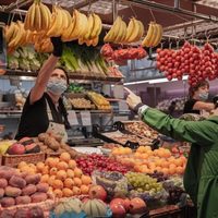El desperdicio de alimentos genera gases de efecto invernadero