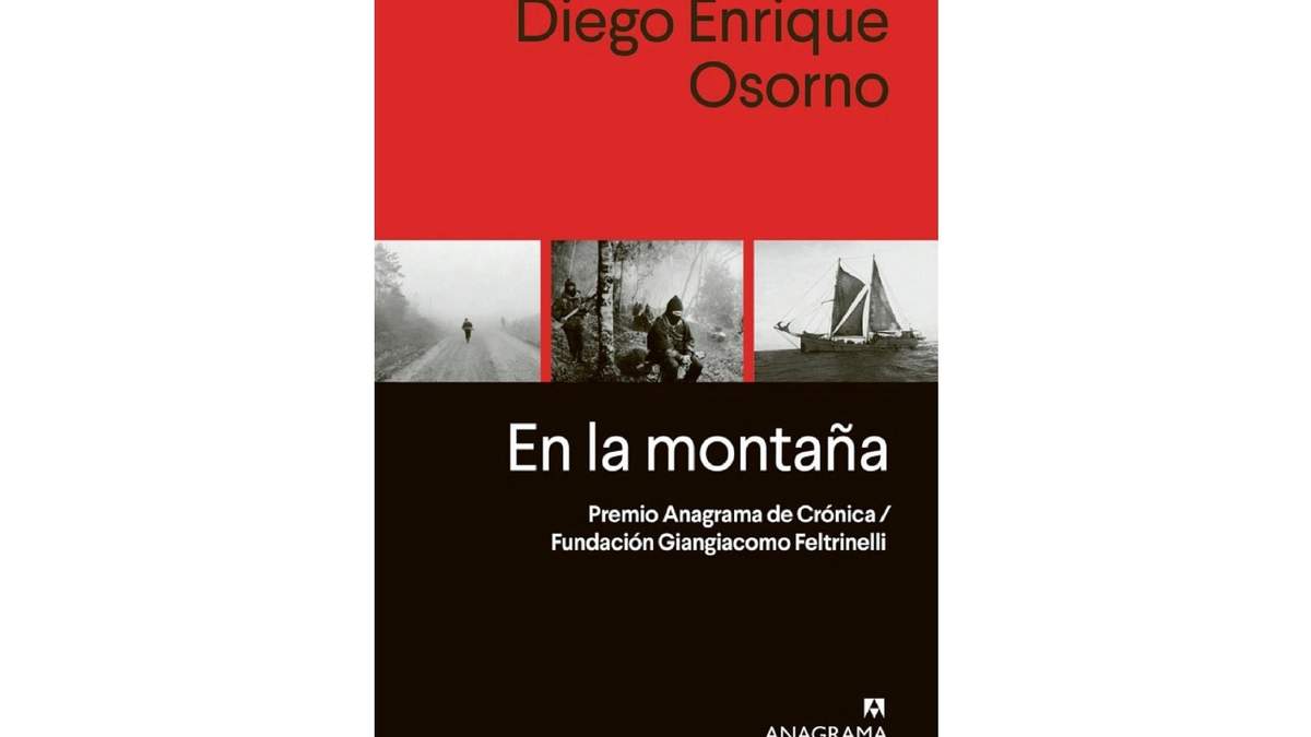 "En la montaña", de Diego Enrique Osorno