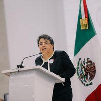 El gobierno de AMLO se ahorró 200 mil mp en su primer año de su gestión: Raquel Buenrostro
