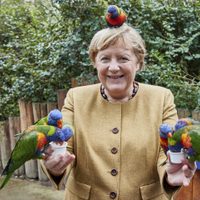 Angela Merkel fue picoteada por loros: la divertida imagen se hizo viral