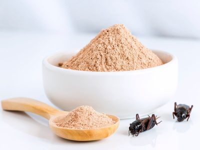 Alimentos a base de insectos, una propuesta saludable que llegó a Argentina