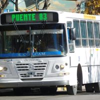 Cipolletti: congelaron las tarifas de transporte por cuatro meses